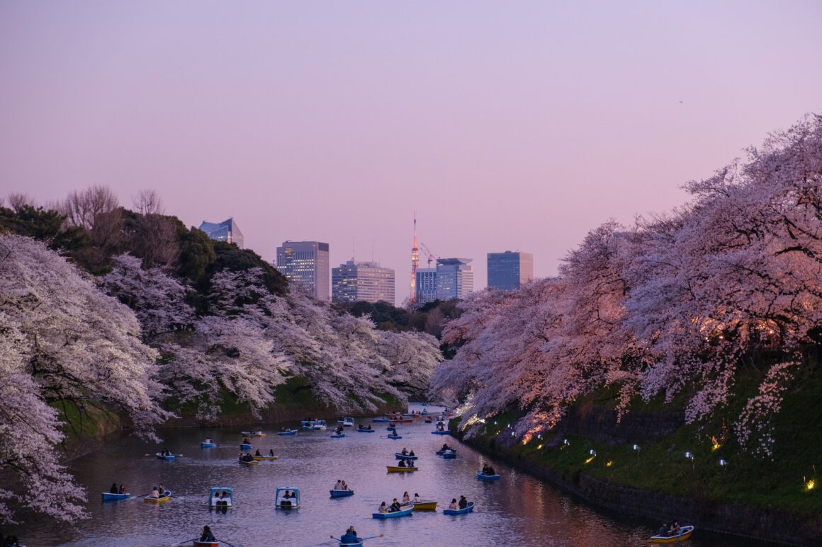 Yu kato 824owkp7sgk unsplash