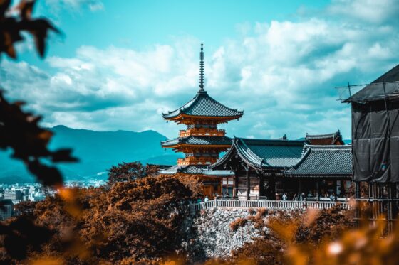 Cosmin georgian gd3ysfyrstq unsplash