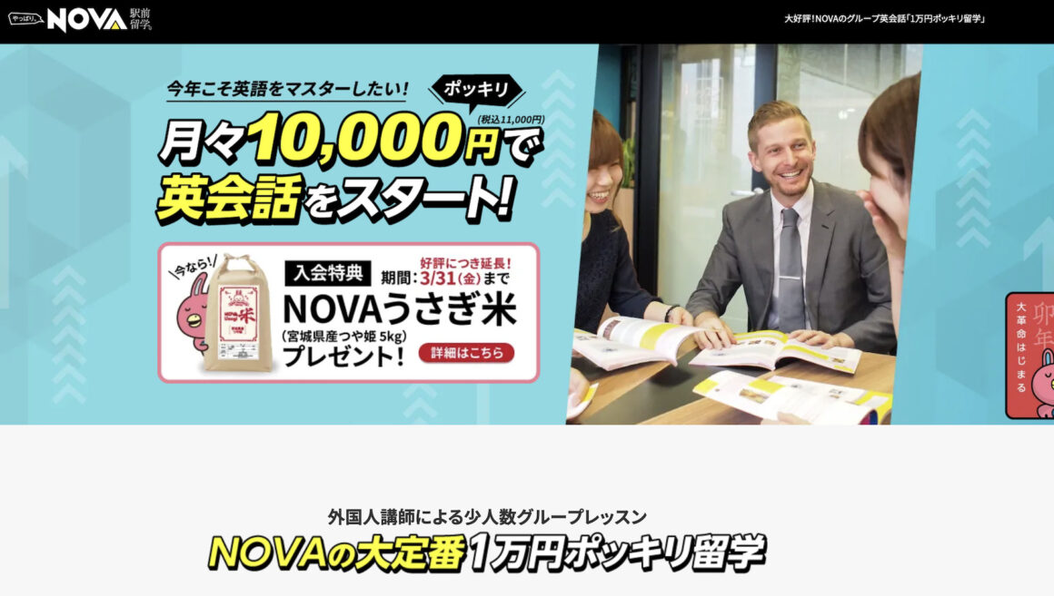Novaうさぎ米